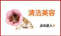 Jizaizai Pet Decorations Dog Bow Tie Cute Pet Bow Tie Currently Available Jizaizai Pet Decorations Dog Bow Tie Cute Pet Bow Tie Currently Available