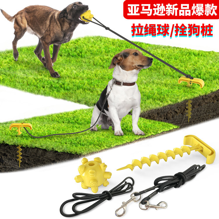 Pet Supplies New Amazon Hot Hot Selling Dog Tie Underpinning Stake Dog Walking Pet Sucker Dog Toy