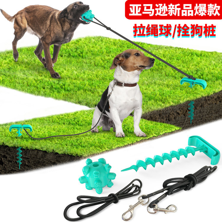 Pet Supplies New Amazon Hot Hot Selling Dog Tie Underpinning Stake Dog Walking Pet Sucker Dog Toy