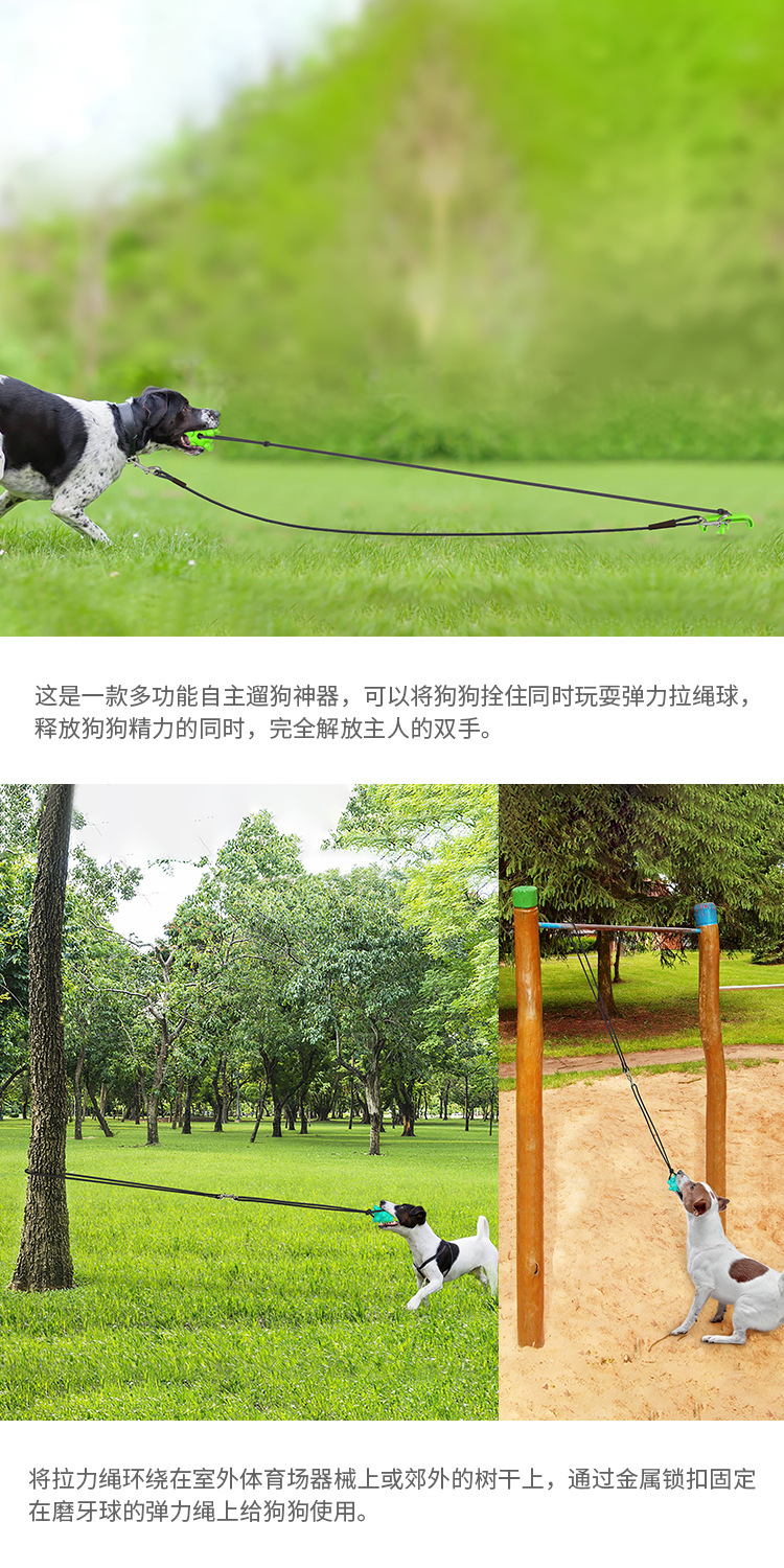 Pet Supplies New Amazon Hot Hot Selling Dog Tie Underpinning Stake Dog Walking Pet Sucker Dog Toy