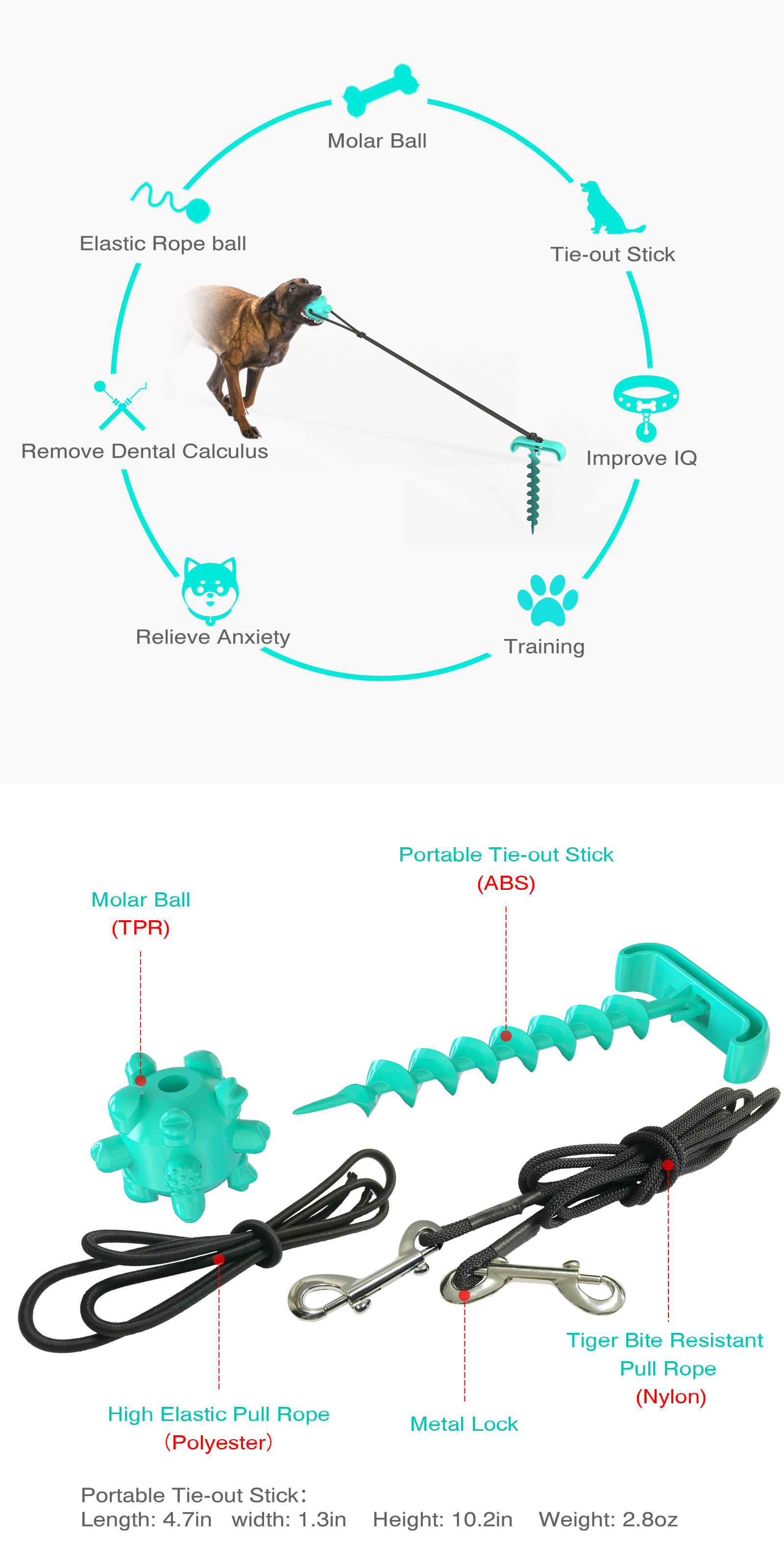 Pet Supplies New Amazon Hot Hot Selling Dog Tie Underpinning Stake Dog Walking Pet Sucker Dog Toy