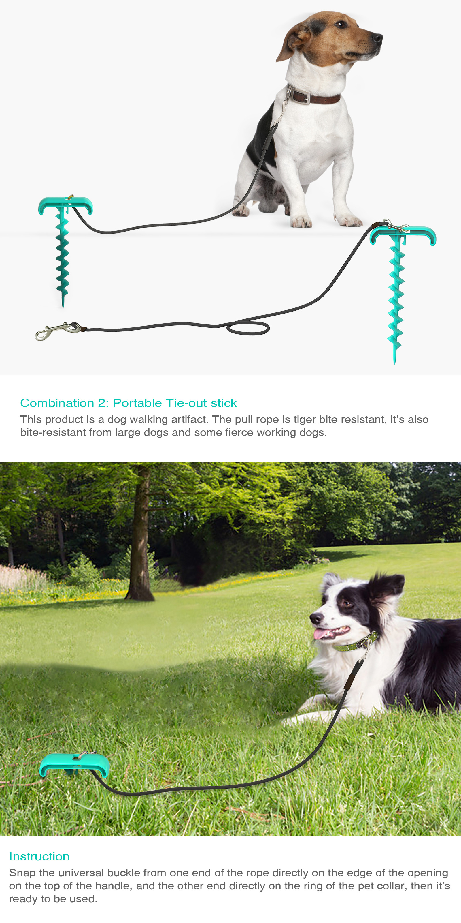 Pet Supplies New Amazon Hot Hot Selling Dog Tie Underpinning Stake Dog Walking Pet Sucker Dog Toy