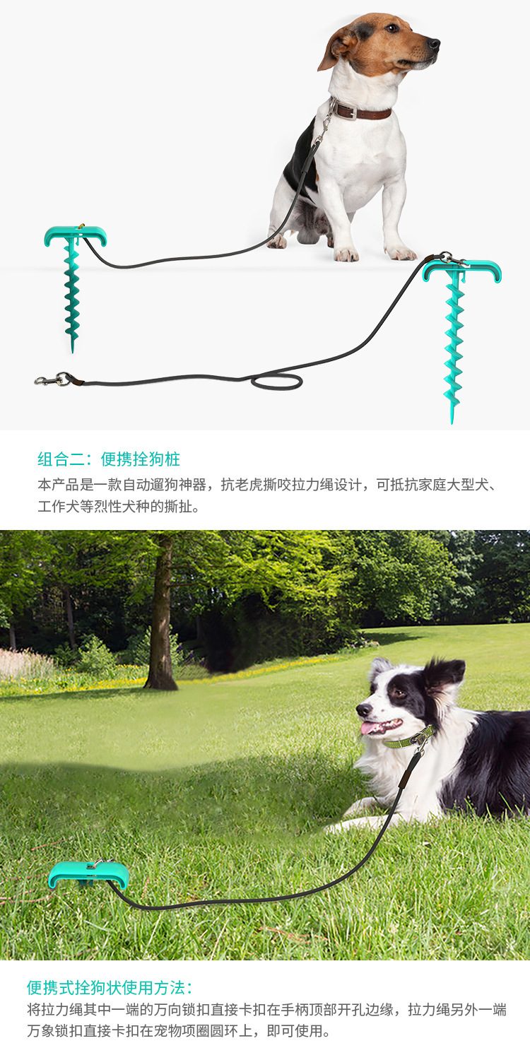Pet Supplies New Amazon Hot Hot Sale Outdoor Bolt Dog Underpinning Stake Tie Dog Rope Leash Dog Walking Toy