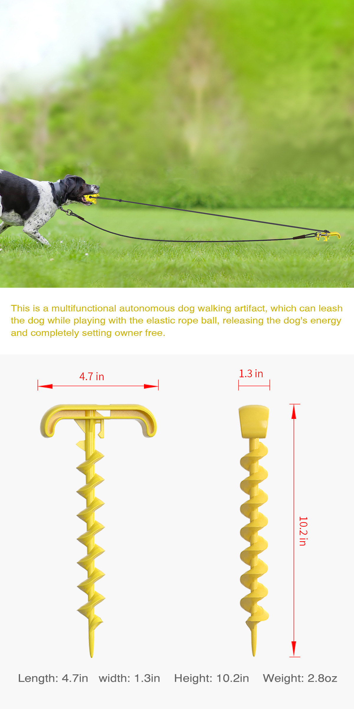 Pet Supplies New Amazon Hot Hot Sale Outdoor Bolt Dog Underpinning Stake Tie Dog Rope Leash Dog Walking Toy
