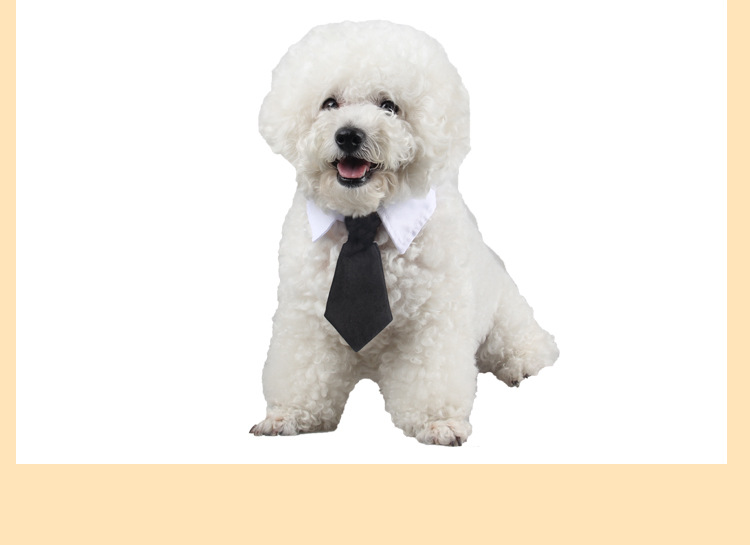 Jizai Pet Supplies Tie Wholesale Cute Pet Tie Striped Trendy Pet Four Seasons Cotton Dog Bow Tie Jizai Pet Supplies Tie Wholesale Cute Pet Tie Striped Trendy Pet Four Seasons Cotton Dog Bow Tie