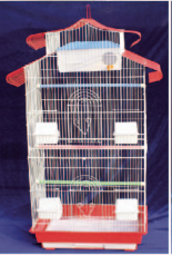 Parrot  Cage Bird Cage