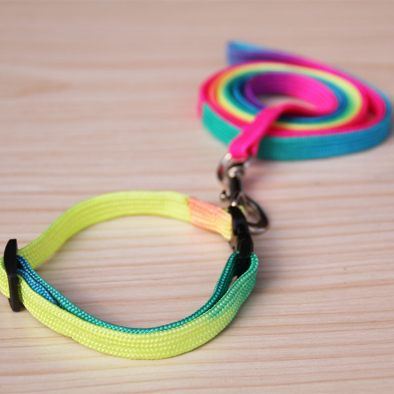 Colorful Collar Pet Hand Holding Rope Dog Chain Colorful Pet Collar Small Dog Rainbow Dog Leash Necklet Set Colorful Collar Pet Hand Holding Rope Dog Chain Colorful Pet Collar Small Dog Rainbow Dog Leash Necklet Set