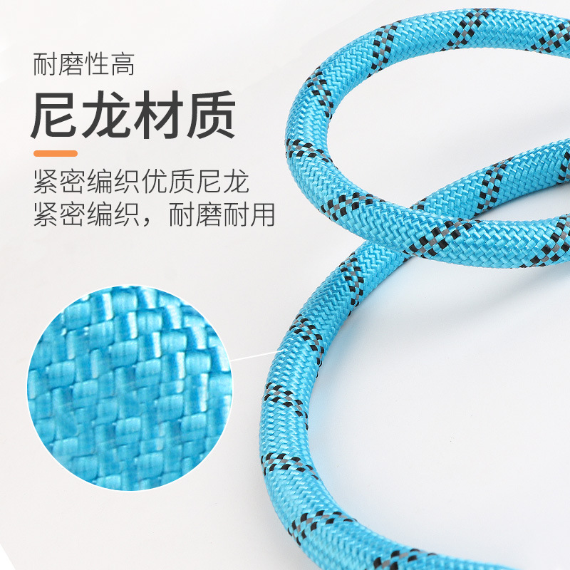 Dog Hand Holding Rope Pet P Chain Clinch Collar Double Handle Dog Chain round Rope Nylon Strap Explosion-Proof Dog Leash