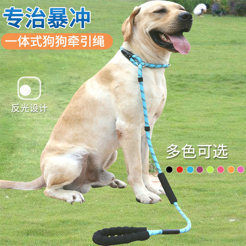 Dog Hand Holding Rope Pet P Chain Clinch Collar Double Handle Dog Chain round Rope Nylon Strap Explosion-Proof Dog Leash