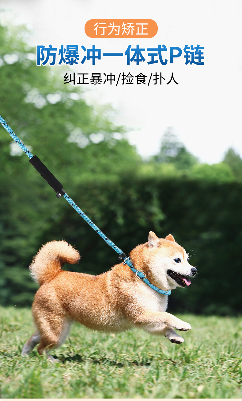 Dog Hand Holding Rope Pet P Chain Clinch Collar Double Handle Dog Chain round Rope Nylon Strap Explosion-Proof Dog Leash