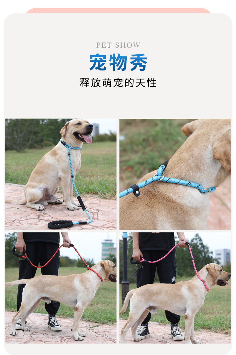 Dog Hand Holding Rope Pet P Chain Clinch Collar Double Handle Dog Chain round Rope Nylon Strap Explosion-Proof Dog Leash