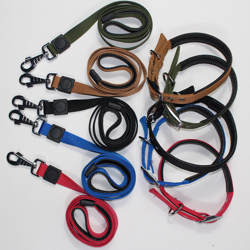 Private Custom Foam Collar Pet Haulage Rope Package Logo Custom Medium Large Dog Dog Dog Leash