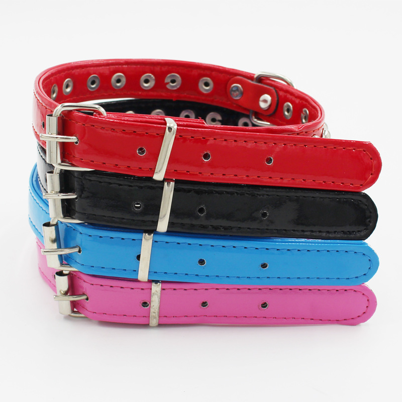 New Pet Collar Dog Bright Skin Collar Bite-Proof Protector Cat Collar Dog Leash Hand Holding Rope Pet Supplies