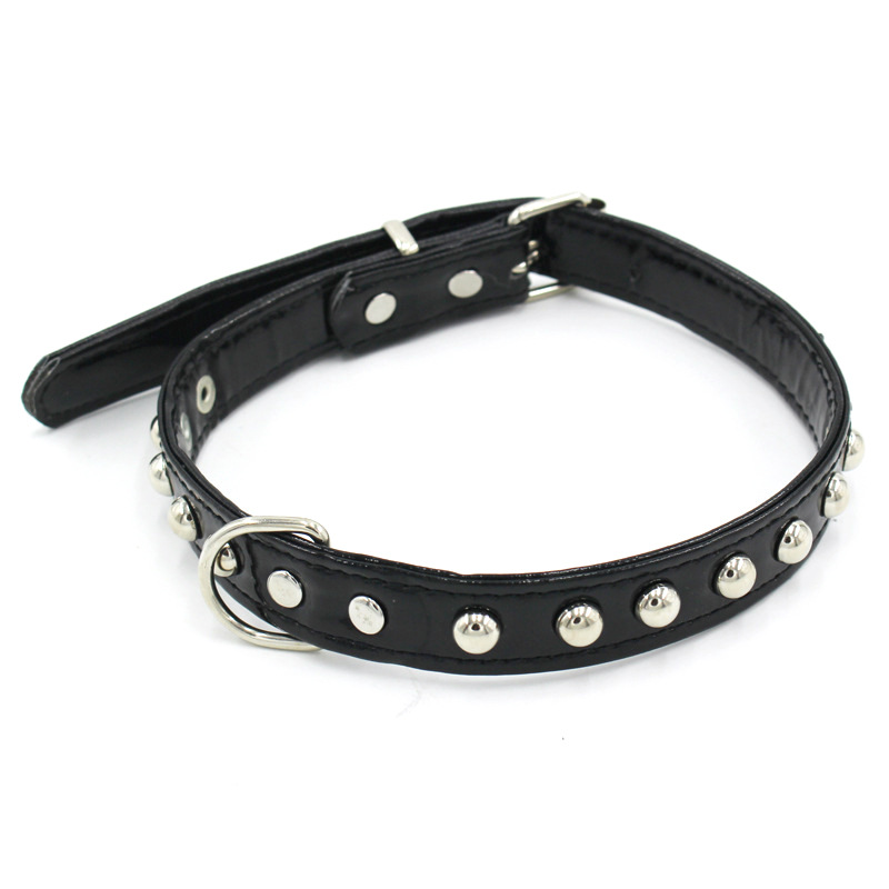 New Pet Collar Dog Bright Skin Collar Bite-Proof Protector Cat Collar Dog Leash Hand Holding Rope Pet Supplies