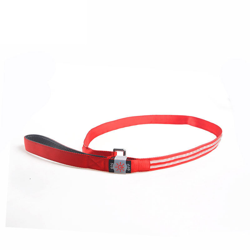 Pet Supplies USB Luminous Collar Led Luminous Nylon Dual Fiber Hand Holding Rope Dog Leash Traction Belt in Stock Wholesale Pet Supplies USB Luminous Collar Led Luminous Nylon Dual Fiber Hand Holding Rope Dog Leash Traction Belt in Stock Wholesale