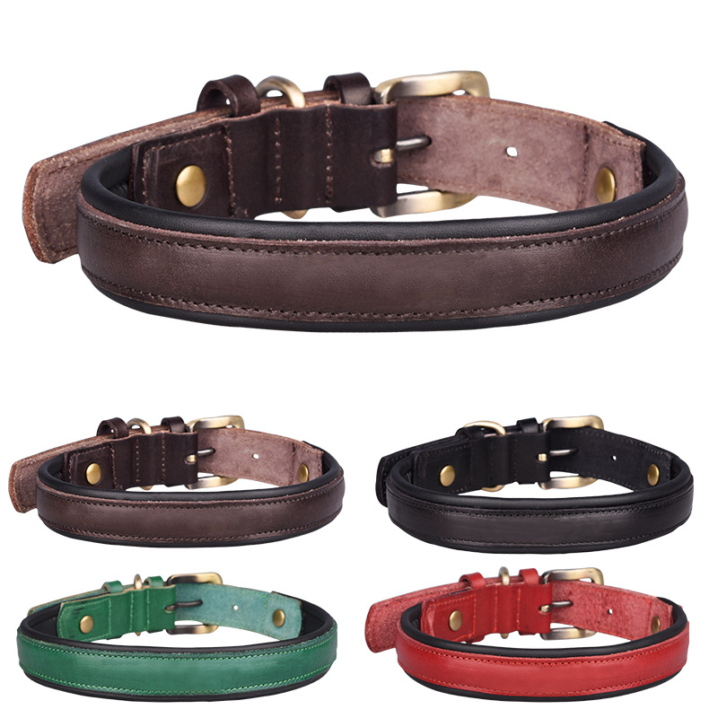 Top Layer Leather Pet Collar Stainless Steel Lettering Dog Collar Medium and Large Dog Leash Amazon Hot Sale