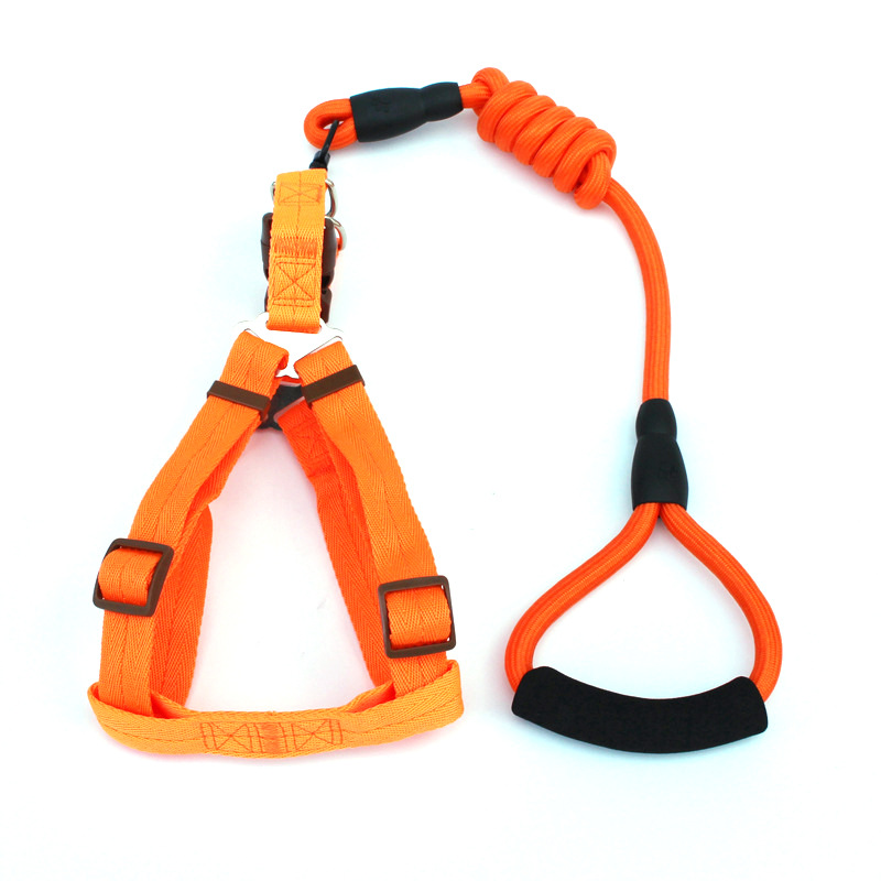 New Pet Hand Holding Rope Dog Traction Belt Cat Dog Rope Dog Chain round Rope Leash Set Collar Supplies