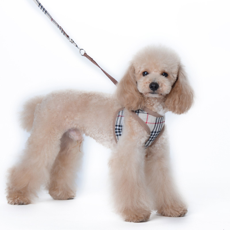 Amazon New Pet&#039;s Chest-Back Dog Leash Dog Rope out Collar Leash Pet Supplies Factory