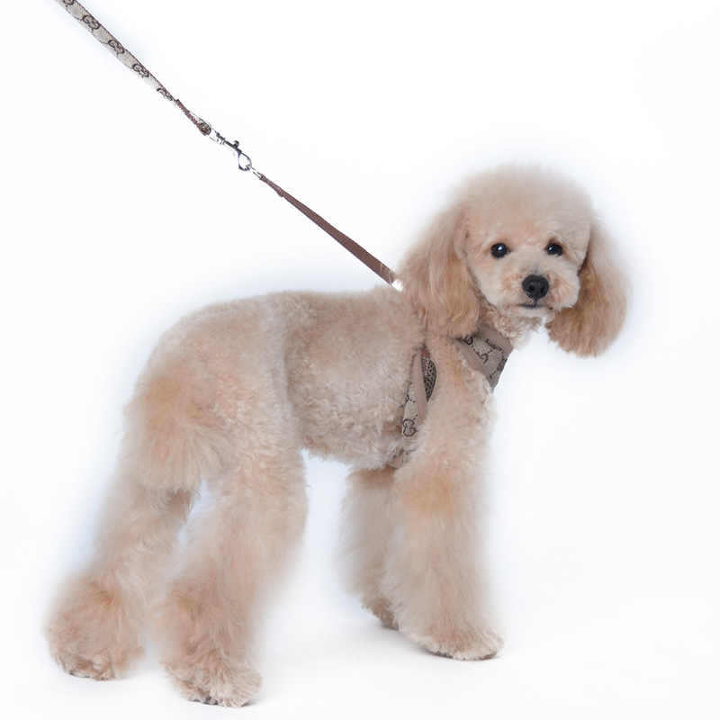 Amazon New Pet's Chest-Back Dog Leash Dog Rope out Collar Leash Pet Supplies Factory Amazon New Pet's Chest-Back Dog Leash Dog Rope out Collar Leash Pet Supplies Factory
