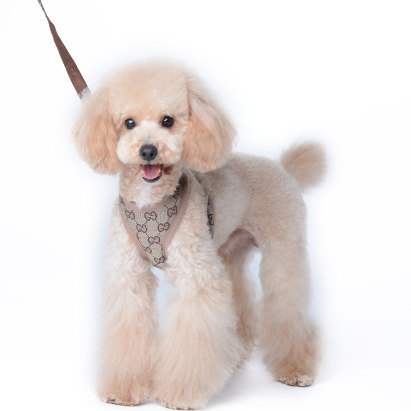 Amazon New Pet's Chest-Back Dog Leash Dog Rope out Collar Leash Pet Supplies Factory Amazon New Pet's Chest-Back Dog Leash Dog Rope out Collar Leash Pet Supplies Factory