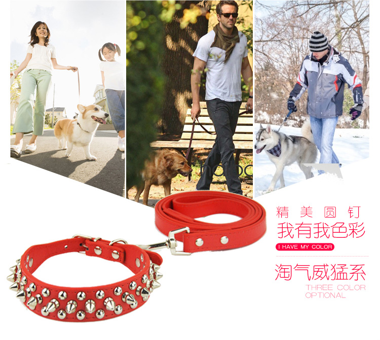 Amazon Hot Rivet Collar Anti-Bite Rivet Pet Collar Small and Medium Size Dog Leash Pull Constantly Pu Dog Collar Amazon Hot Rivet Collar Anti-Bite Rivet Pet Collar Small and Medium Size Dog Leash Pull Constantly Pu Dog Collar