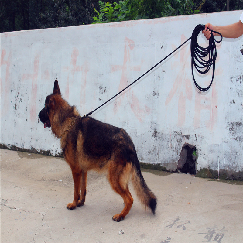 Stainless Steel Dog Training P Chain Collar Dog Leash Medium and Large Dog Pet Collar Length Customized Pet Collar Dog Cover