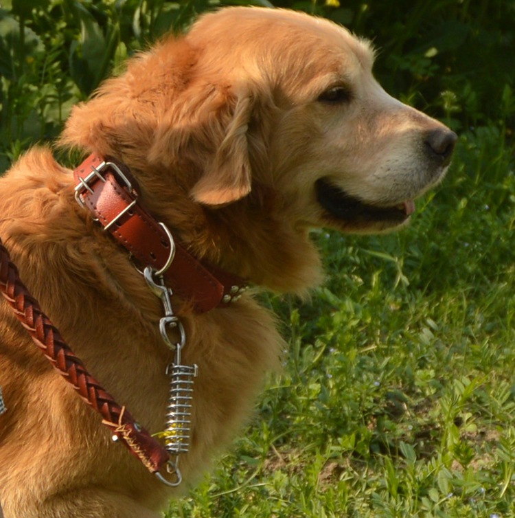 Cowhide Dog Leash Traction Rope Chain Pet Collar Genuine Leather Medium Large Dog Pet Products Factory Wholesale Spot