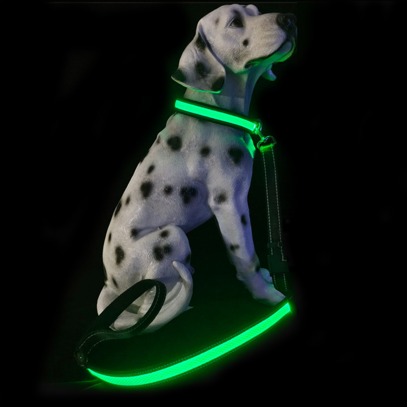 Led Pet Luminous Collar Dog Cat Retractable Leash Set New USB Rechargeable Nylon Factory Wholesale