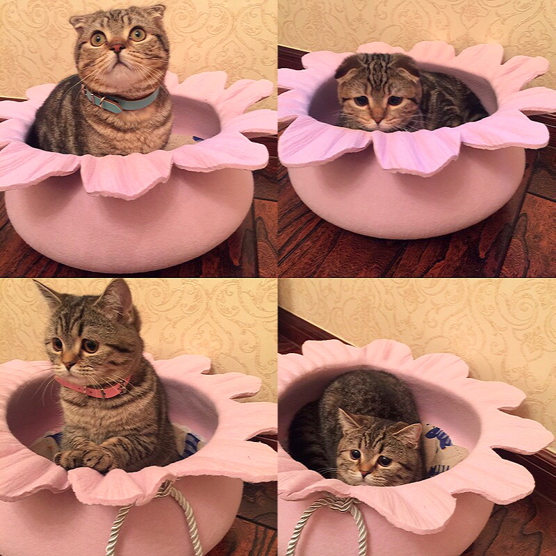 Cat Nest Four Seasons Universal Winter Warm Cat Bed Cat House Felt Cute Princess Bed Pet Bed Internet Celebrity Cat Kennel