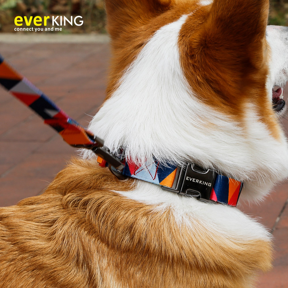 Amazon Hot Selling Pet Tow Rope Collar Dog Leash Dog Chain Large Dog Pet Supplies Traction Belt Chest Back