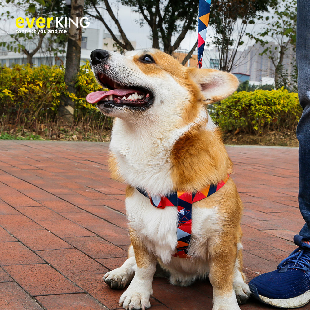 Amazon Hot Selling Pet Tow Rope Collar Dog Leash Dog Chain Large Dog Pet Supplies Traction Belt Chest Back