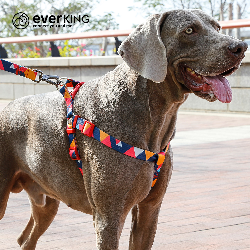 Amazon Hot Selling Pet Tow Rope Collar Dog Leash Dog Chain Large Dog Pet Supplies Traction Belt Chest Back
