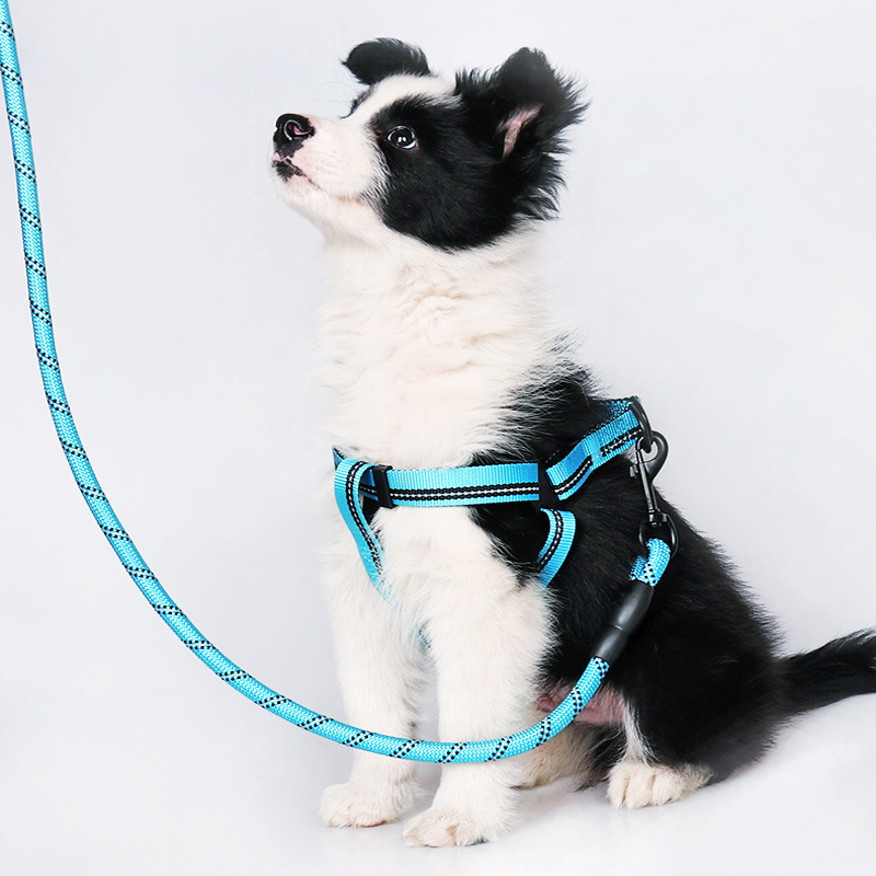 Amazon Hot Nylon Reflective Pet Hand Holding Rope Dog Chain Light-Reflecting Pet Collar Dog Leash Pet Supplies
