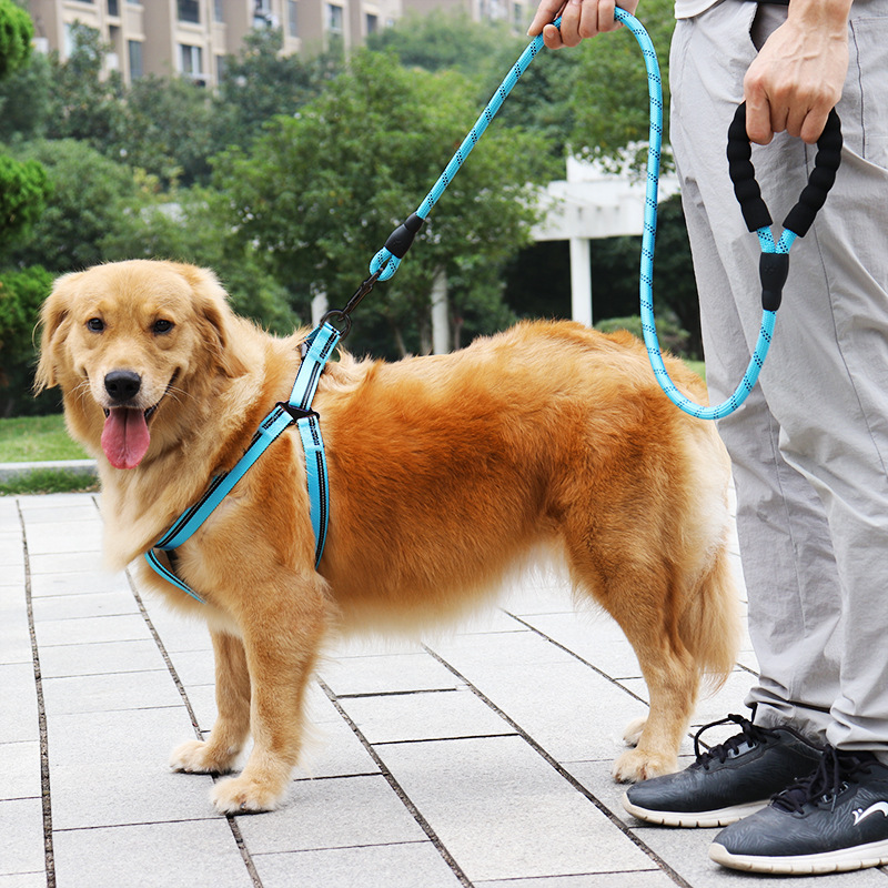 Amazon Hot Nylon Reflective Pet Hand Holding Rope Dog Chain Light-Reflecting Pet Collar Dog Leash Pet Supplies
