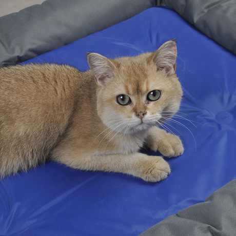 Pet cooling water bed cooling pad ice pad kennel cat kennel dog summer waterproof fat dog large dog