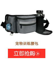 JIDODO Cross-Border New Arrival Fresh Printing Car Nest Pet Supplies Wholesale Non-Slip Central Control Kennel Source Manufacturer