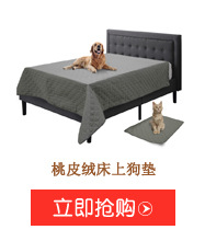 JIDODO Cross-Border New Arrival Fresh Printing Car Nest Pet Supplies Wholesale Non-Slip Central Control Kennel Source Manufacturer