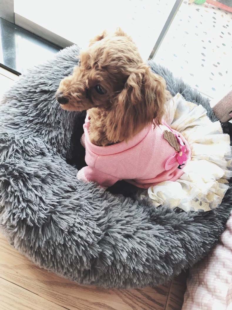 Autumn and Winter Thick Long Velvet round Pet Cushion Mat Deep Sleep Cat Kennel Small and Medium-sized Dogs Autumn and Winter Thick Long Velvet round Pet Cushion Mat Deep Sleep Cat Kennel Small and Medium-sized Dogs