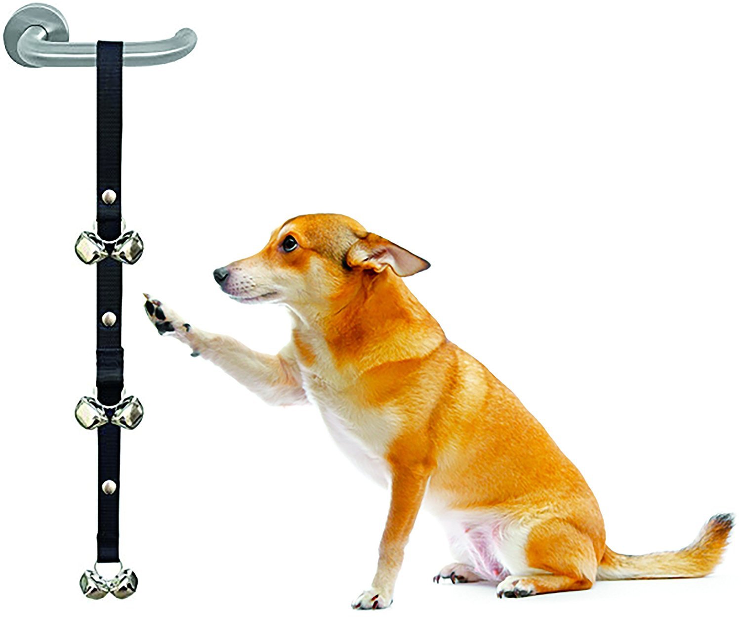 Amazon Hot Pet Doorbell Cat Teaser Toy Dog out Alarm Doorbell Pet Bell Rope Amazon Hot Pet Doorbell Cat Teaser Toy Dog out Alarm Doorbell Pet Bell Rope