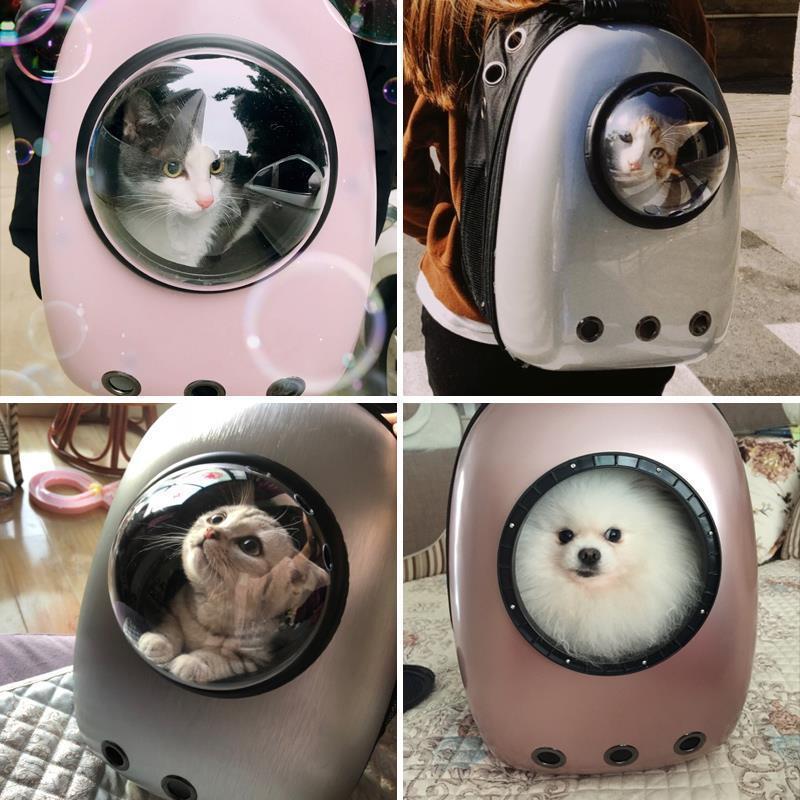 Cat Bag Space Pet Cabin Bag Portable Dog Bag Cat Cage Backpack Cat Bag Supplies Schoolbag Cat Backpack