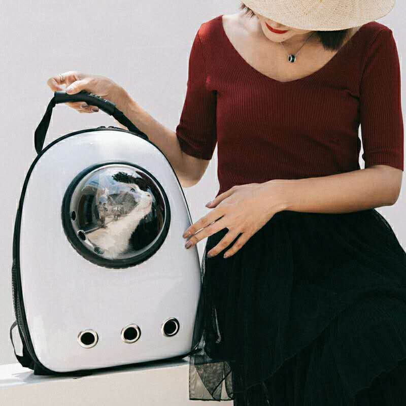 Cat Bag Space Pet Cabin Bag Portable Dog Bag Cat Cage Backpack Cat Bag Supplies Schoolbag Cat Backpack