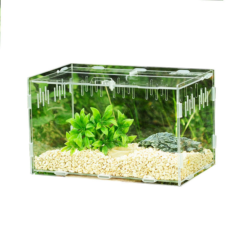 Acrylic Feeding Box Spider Feeding Box Crawler Feeding Box  Pet Supplies O&#039;e&#039;m