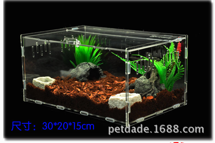 Acrylic Feeding Box Spider Feeding Box Crawler Feeding Box Pet Supplies O'e'm Acrylic Feeding Box Spider Feeding Box Crawler Feeding Box Pet Supplies O'e'm