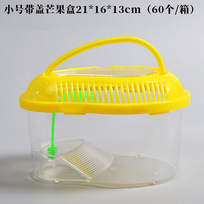 Large Medium and Small Portable Plastic Fish Globe Transparent Turtle Jar Crawler Pet Feeding and Transportation Box