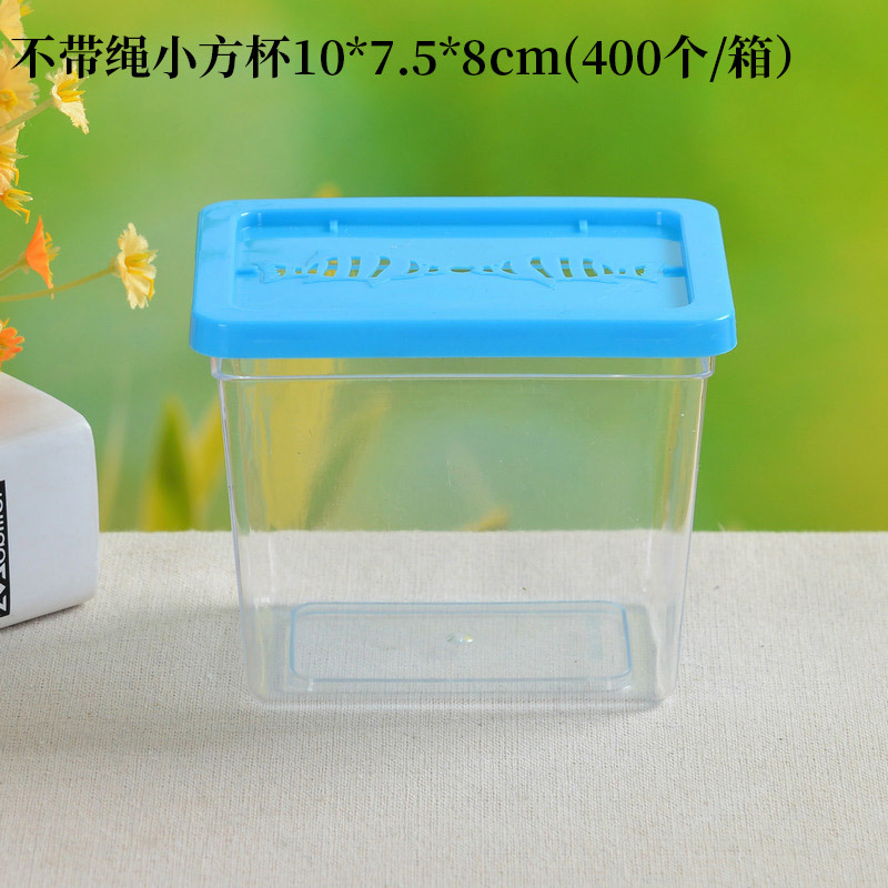 Large Medium and Small Portable Plastic Fish Globe Transparent Turtle Jar Crawler Pet Feeding and Transportation Box
