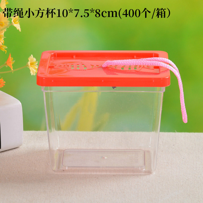 Large Medium and Small Portable Plastic Fish Globe Transparent Turtle Jar Crawler Pet Feeding and Transportation Box