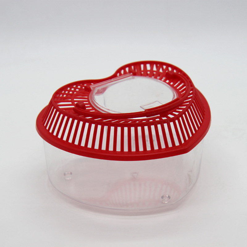 Plastic pet box color love transparent fish tank hollow air turtle box children early education tools wholesale Plastic pet box color love transparent fish tank hollow air turtle box children early education tools wholesale