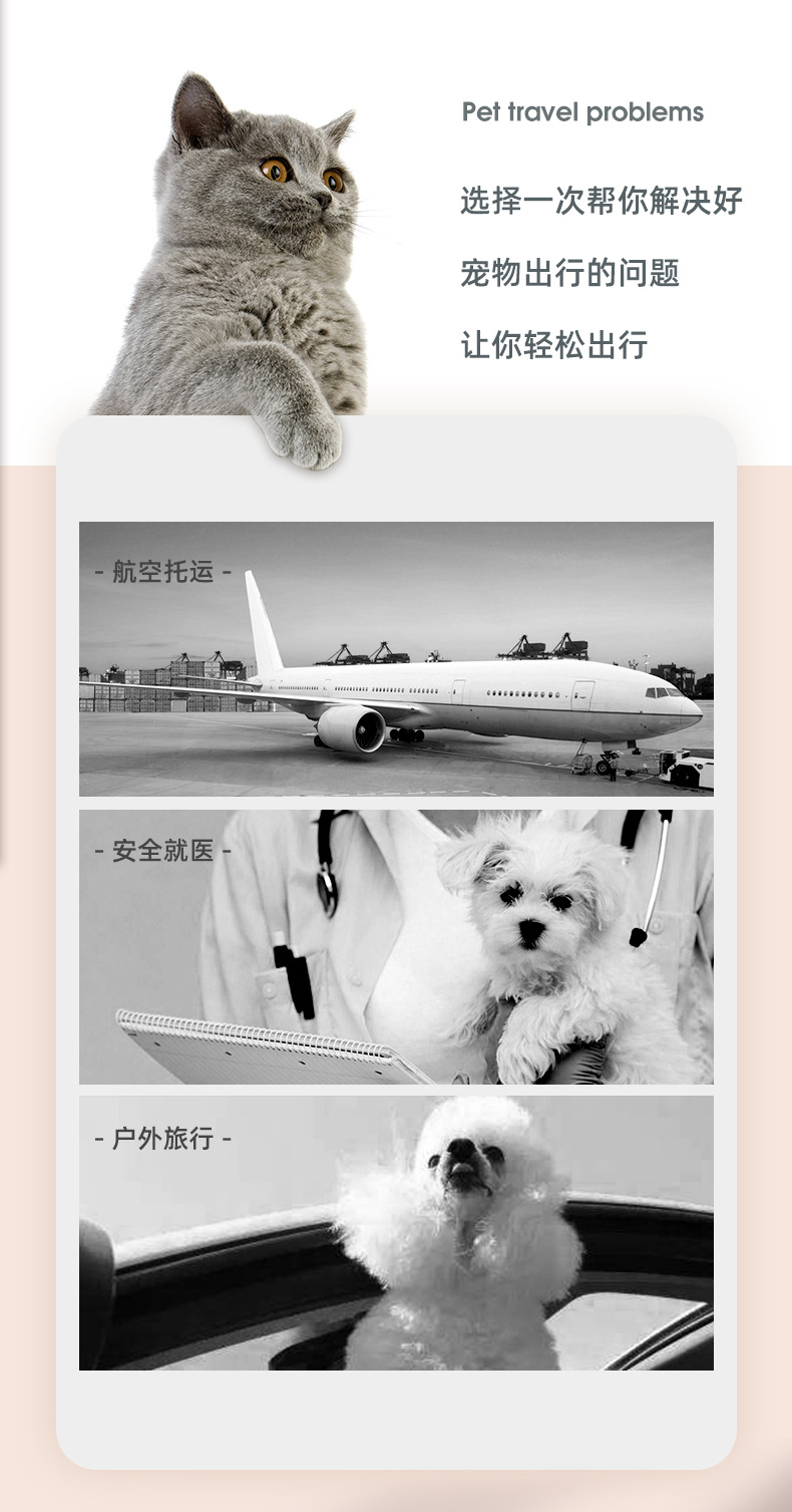 Pet will carry pedals out of the dog and cat carry-on air box Air box transport box Rabbit cage