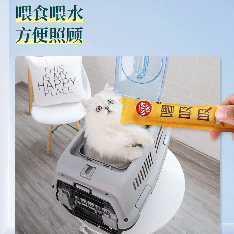 Cat Flight Case Cat Cage Cat Box Portable out Pet Plane Consignment Dog Space Air Transport Box