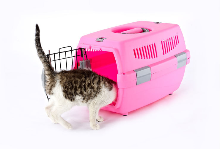 Pet Pet Pet Pet Pet Pet carrier large cat cage portable out of the dog large and small dog air consignment box